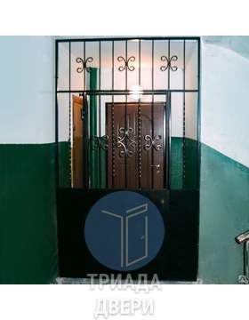 решетчатая тамбурная дверь окрашенная нитроэмалевой краской