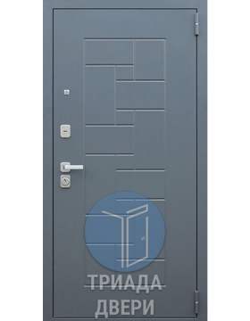 металлическая дверь с виноритом